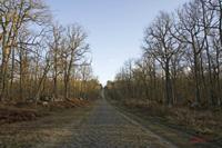 Cjp_2010_03_30_172152 (1).jpg